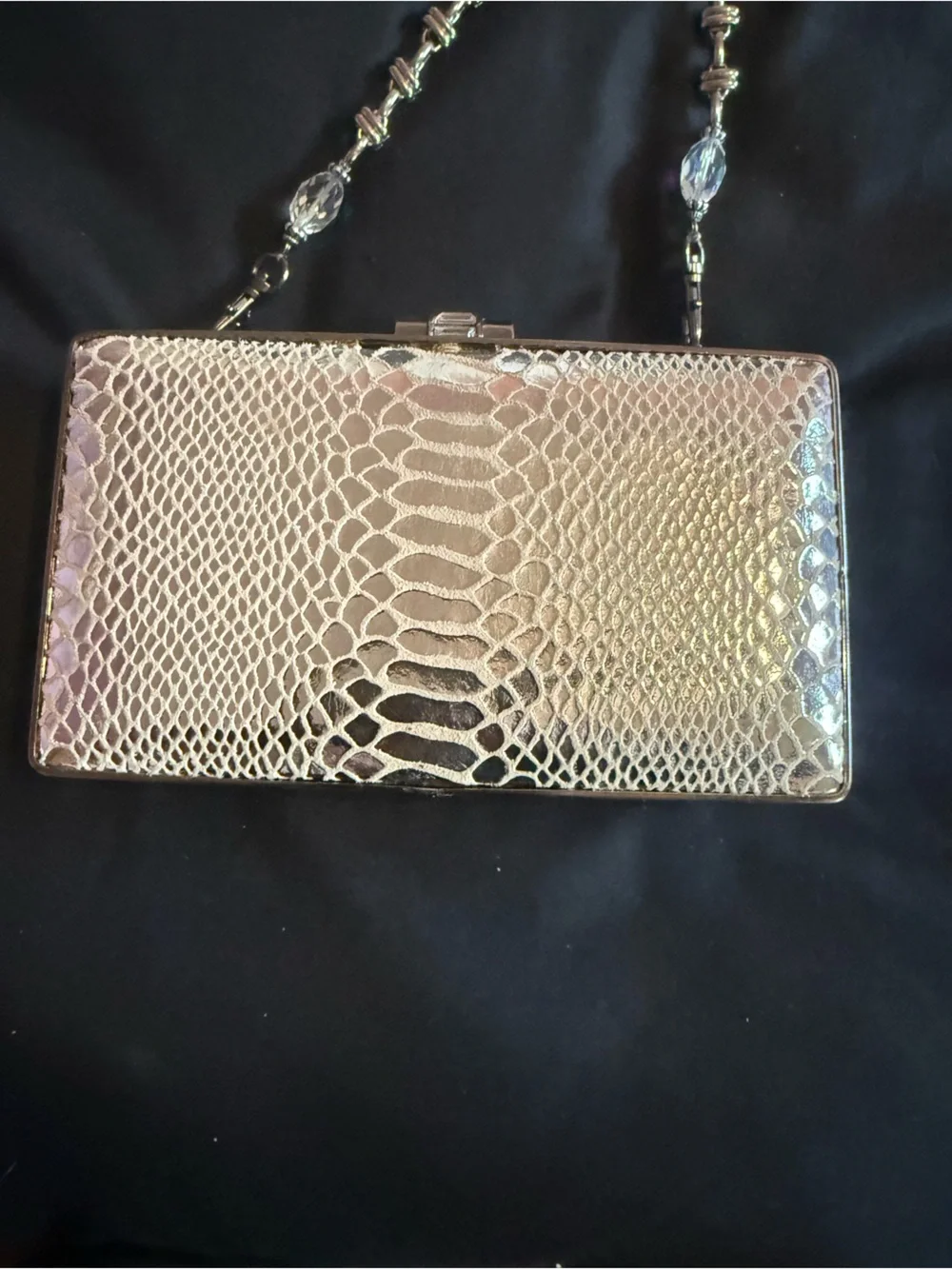 Embellished Crystal Evening Clutch in Silver